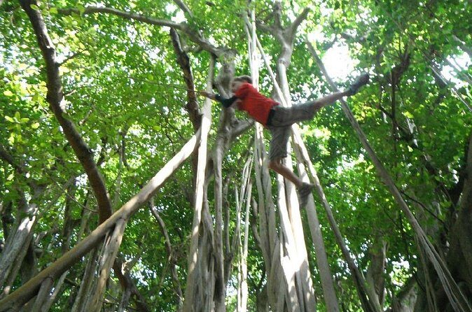 Bermuda Hidden Gems Half-Day Winter Excursion - Who Is This Tour Best For?