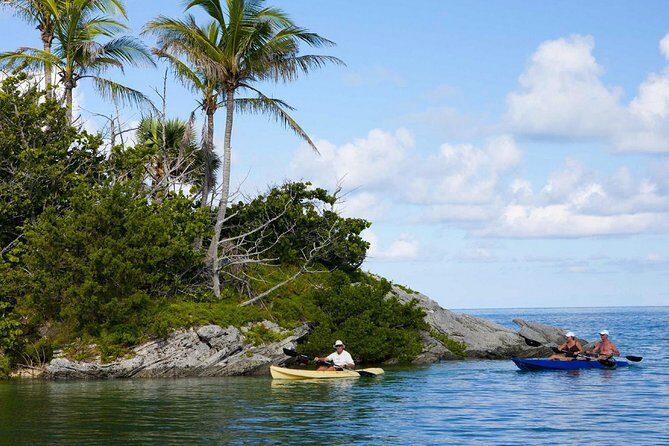 Bermuda Kayak Eco-Tour - An In-Depth Look at the Bermuda Kayak Eco-Tour