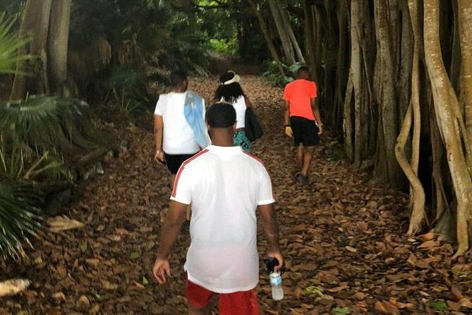 Bermuda Railway Trail and Off The Beaten Path Walking Experience - Key Points