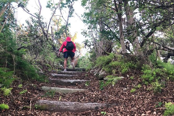 Bermuda Railway Trail and Off The Beaten Path Walking Experience - Pricing and Cancellation Policy