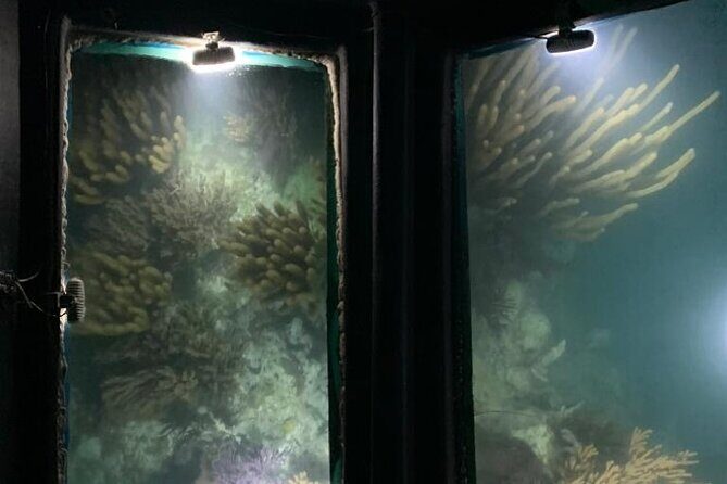 Bermuda Triangle Twilight Cruise - Final Thoughts