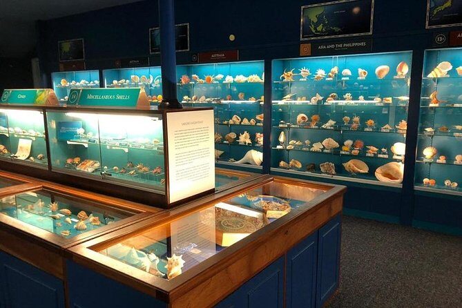 Bermuda Underwater Exploration Institute and Aquarium Adventure Day - Who Will Love This Tour?