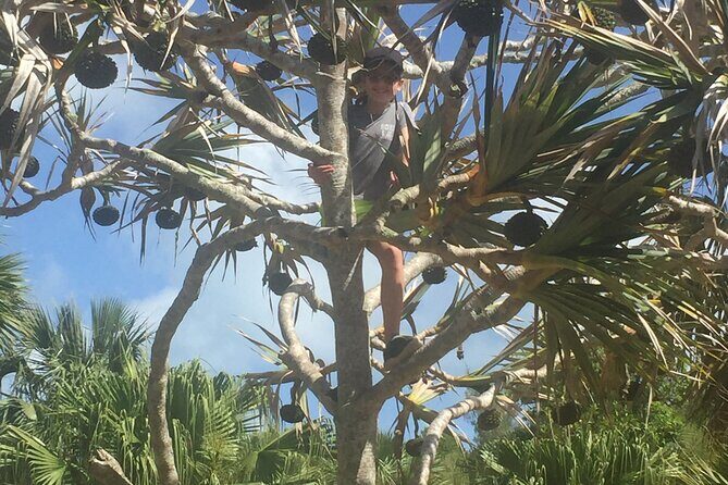 Bermudian Cooking Class" and Walking Shared Tour - Why This Tour Offers Great Value