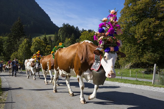 Berne the Capital and Cheese Paradise Emmental (Private Tour) - Reviews and Feedback