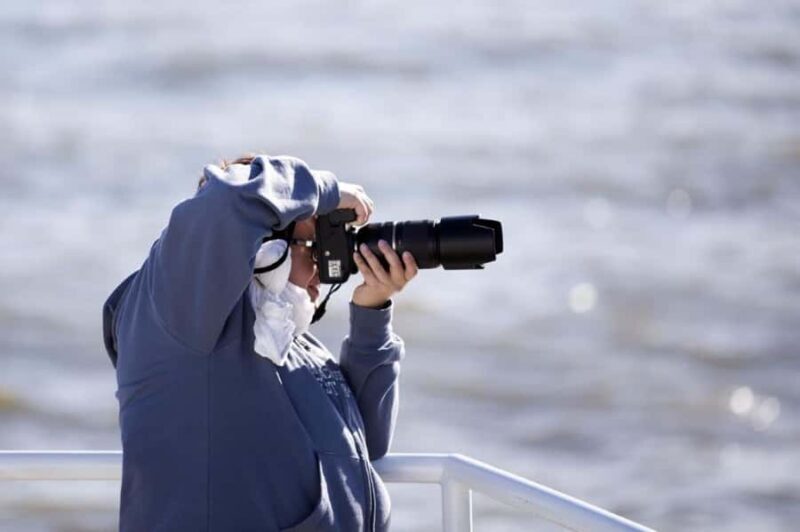 Berthier-sur-Mer: 1000 Razorbill Penguins Observation Cruise - Key Points
