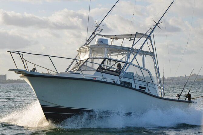 Bertram 35ft boat sport fishing cancun up to 6 passengers - Key Points