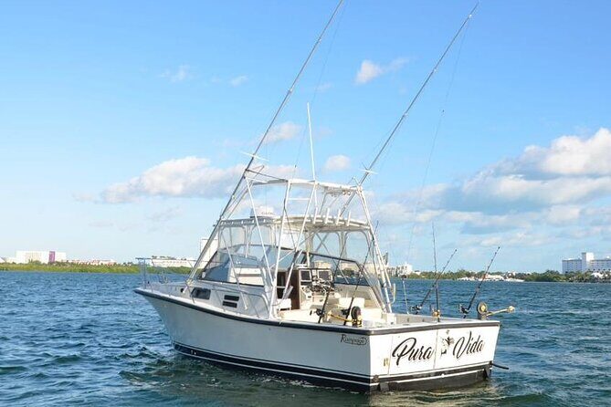 Bertram 35ft boat sport fishing cancun up to 6 passengers - Booking & Cancellation