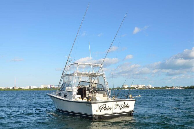 Bertram 35ft boat sport fishing cancun up to 6 passengers - Authentic Insights from Travelers