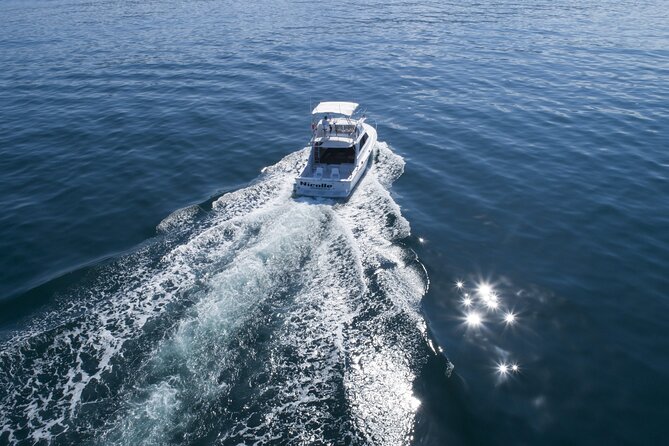 Bertram 38 Convertible Boat in Puerto & Nuevo Vallarta - Customizable Group Experiences