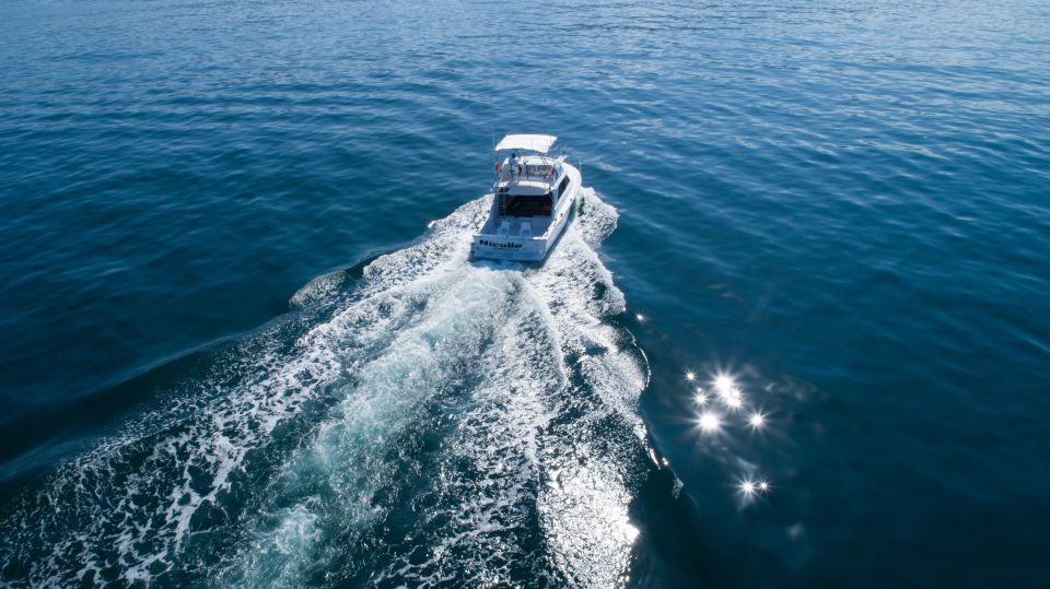 Bertram 38 Convertible Boat in Puerto & Nuevo Vallarta - Fishing and Snorkeling Activities