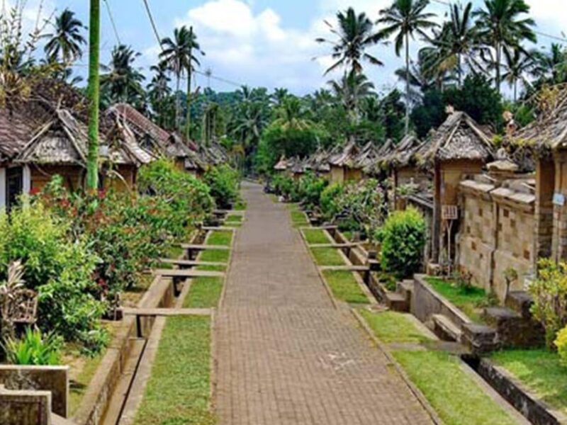 Besakih Temple: Penglipuran, Semarapura Palace /Private Day - Good To Know
