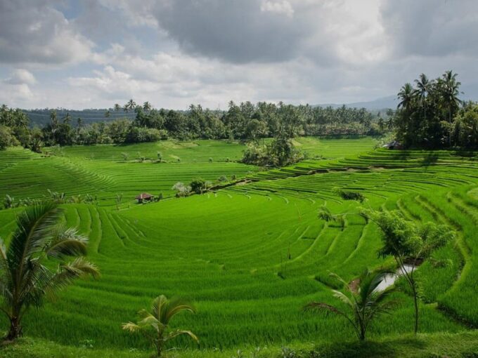 Besakih Temple: Penglipuran, Semarapura Palace /Private Day - Transportation and Amenities