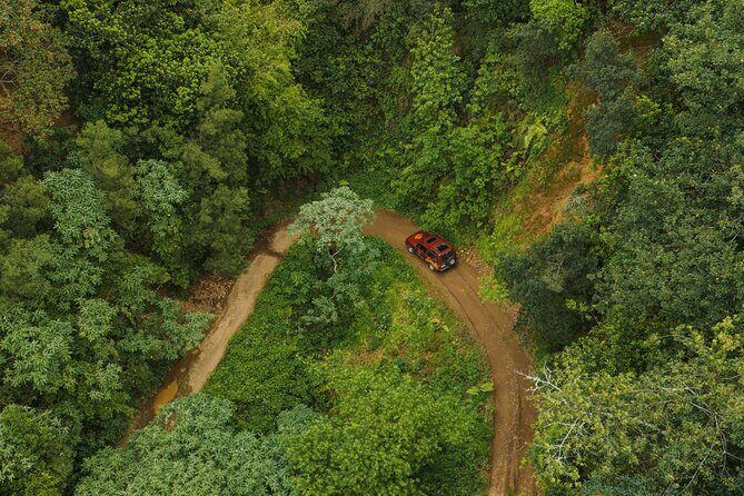 Bespoke adventure in Madeira with pick-up - Authentic Experiences and Hidden Gems