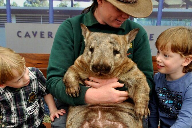 Bespoke Perth City and Surrounds Day Tour - Key Points