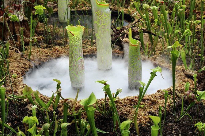 Bespoke Private Tour of Sydney - Final Thoughts