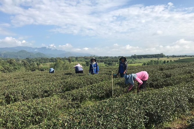 Best 2-Day: Explore Chiang Rai Landmarks From Chiang Mai, Private Trip - Traveler Experience