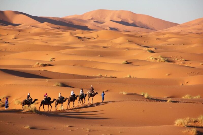 Best 4 Day Desert Round Tour From Marrakech - Packing Recommendations
