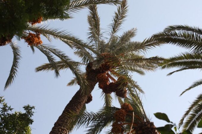 Best 4 Day Desert Round Tour From Marrakech - Frequently Asked Questions