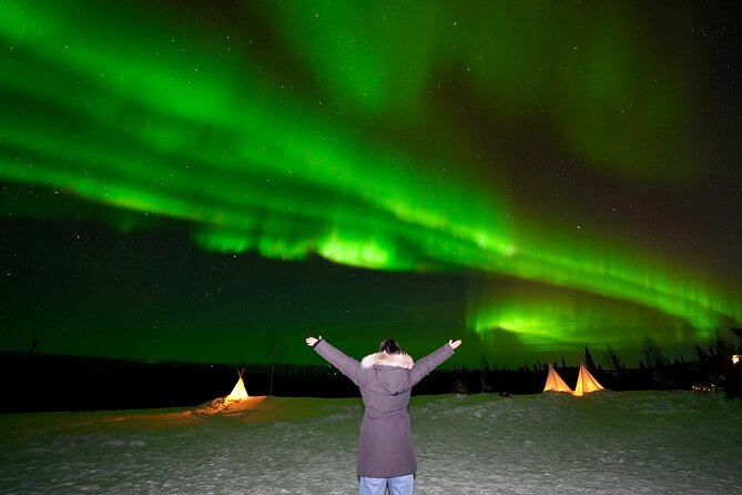 Best Alaskan Cabin Aurora Viewing With Photography @Aurora Camp - Good To Know