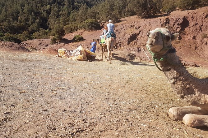 Best Atlas Mountains Experience - Cultural & Multi-Outdoor Activities Excursion - Itinerary Breakdown