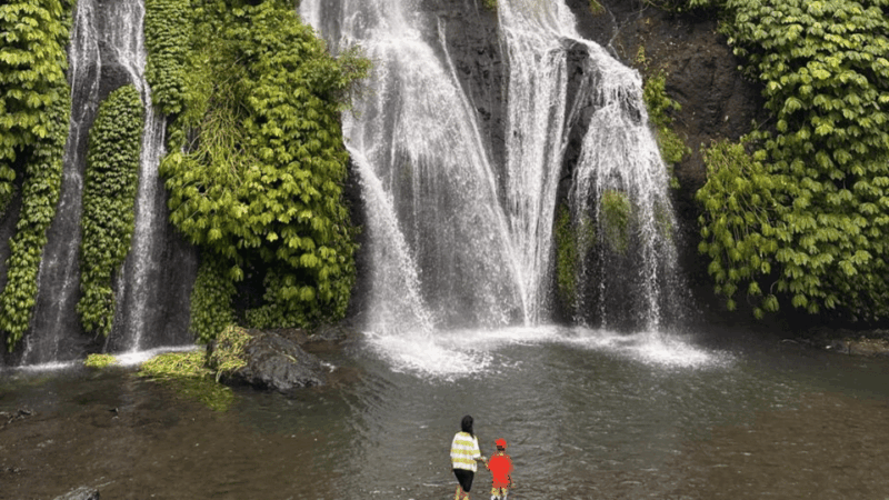 Best Attraction Waterfall and Temple North of Bali Tour - Good To Know