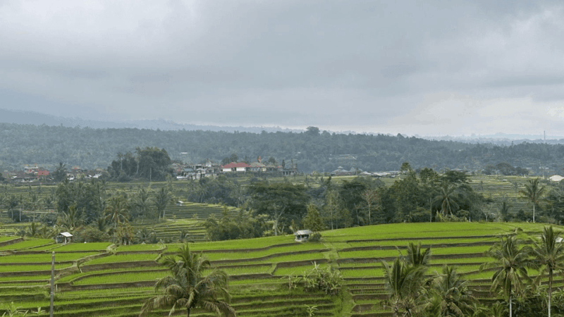 Best Attraction Waterfall and Temple North of Bali Tour - Tour Experience