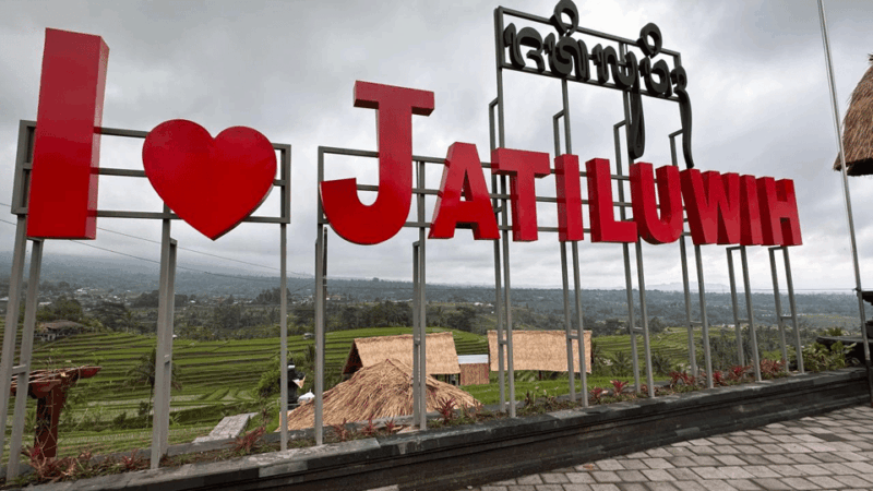 Best Attraction Waterfall and Temple North of Bali Tour - Included Services