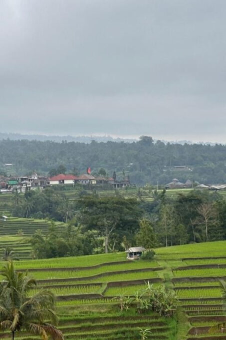 Best Attraction Waterfall and Temple North of Bali Tour - Frequently Asked Questions