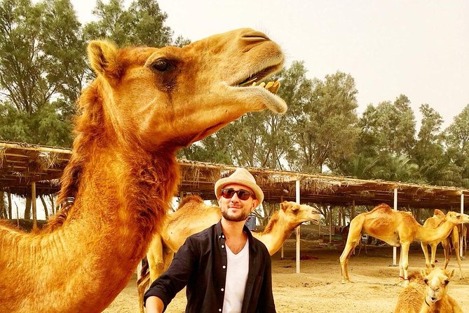 Best Bahrain Tour - Select 1 of 9+ Private & Shared Tours - Final Thoughts on Tours