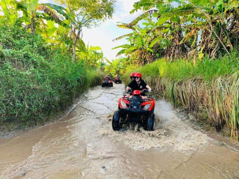 Best Bali ATV Quad Bike Ubud~Waterfall Tour And Tranfers - Key Points