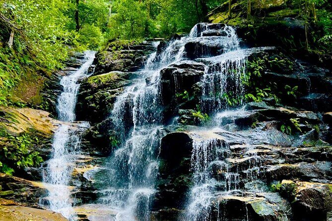 Best Blue Mountains Full Day Tour-Optional Sydney Zoo&Leura Town - Key Points