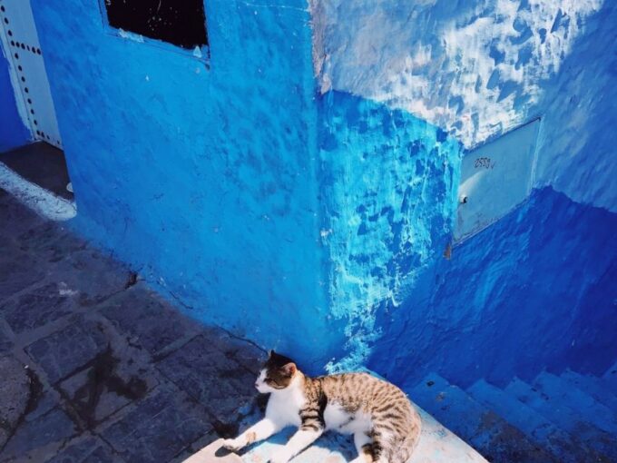 Best Chefchaouen Day Tour From Fez - Important Travel Considerations