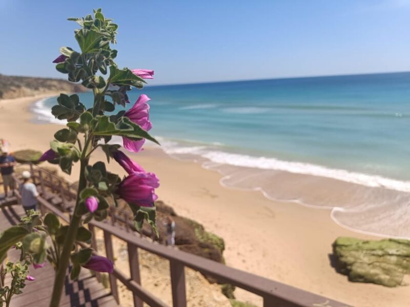 Best Coast Tour - Southwest of Europe - Real Traveler Insights