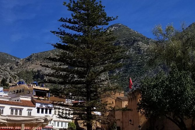 Best Full Day in the Blue City of Chefchaouen in a Small Group - Visiting the Kasbah and Plaza Uta El-Hammam