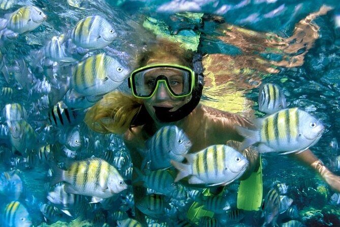 Best half-day snorkel tour: visit Kaan Luum, Yalku & Cenote - Authentic Experiences and Real Traveler Feedback