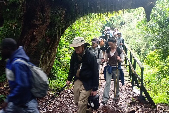 Best Kilimanjaro Adventures 6 Days Marangu Route Experience - Good To Know