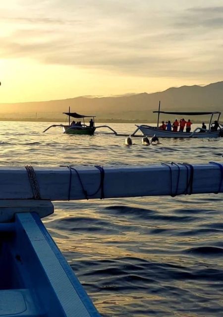 Best Lovina Sunrise Dolphins Watching Tour - What to Bring