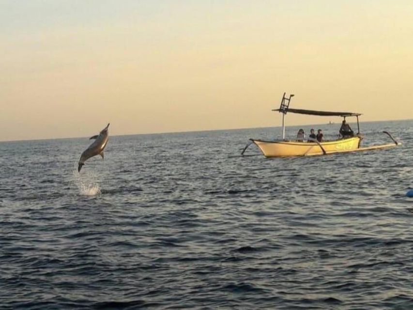 Best Lovina Sunrise Dolphins Watching Tour - Tips for a Great Experience