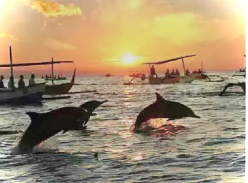 Best Lovina Sunrise Dolphins Watching Tour - Frequently Asked Questions
