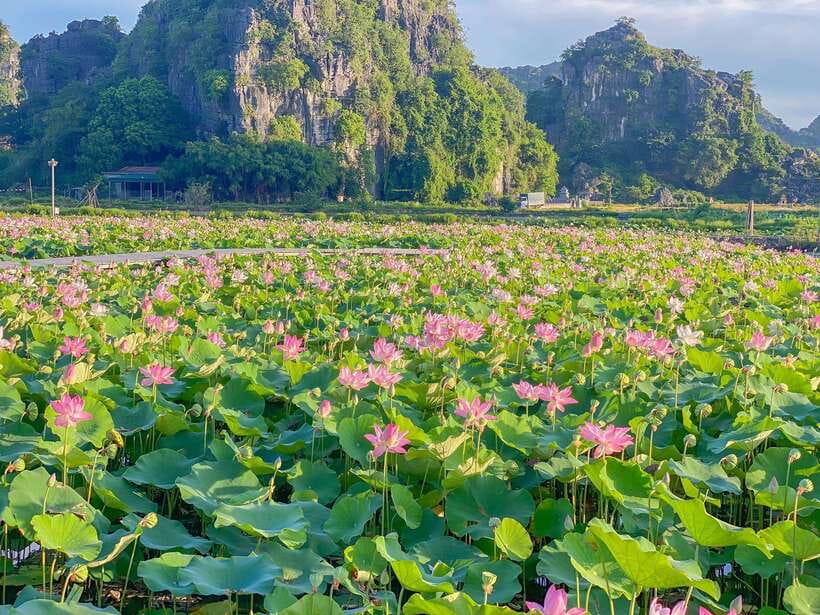 Best Ninh Binh Trip: Bai Dinh, Mua Caves, Trang An Boat Tour - The Scenic Trang An Boat Tour