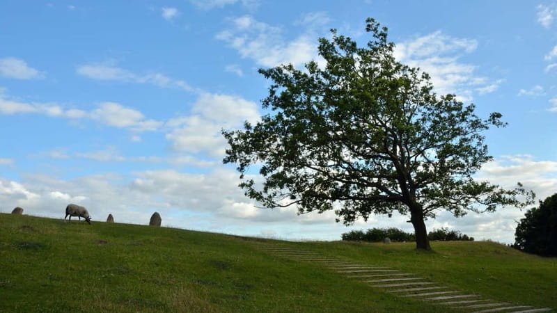 Best of Aalborg: Private Walking Tour with a Local - The Sum Up