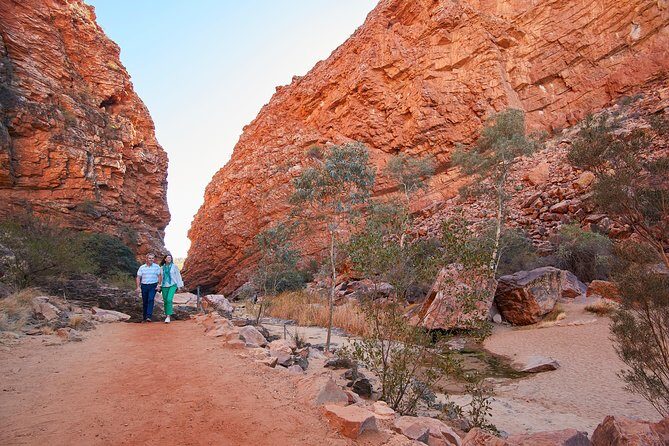 Best of Alice Springs Full Day Tour - Modern Outback: Royal Flying Doctor Service and Reptile Encounters