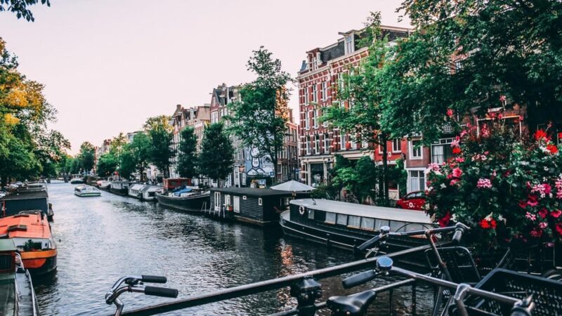 Best of Amsterdam: Private Walking Tour with a Local - Who Will Love This Tour?