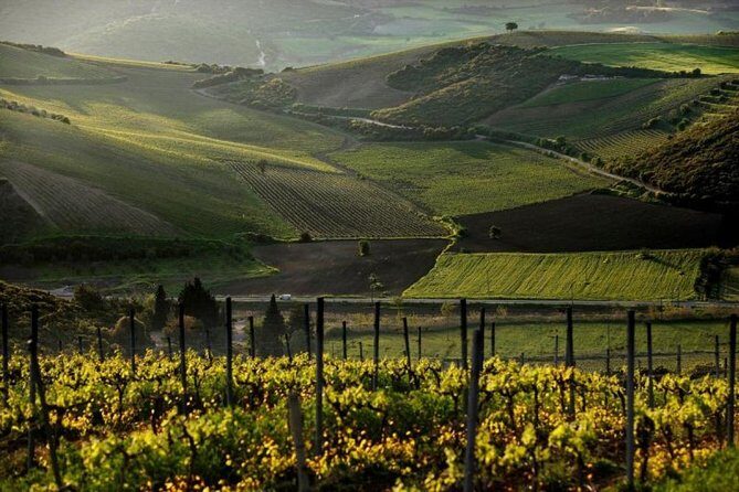 Best of Athens: Private Guided Half-Day Tour & Shore Excursion - An In-Depth Look at the Itinerary