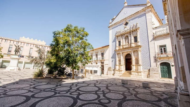Best of Aveiro: Private Walking Tour with a Local - Why Choose a Private Walking Tour in Aveiro?