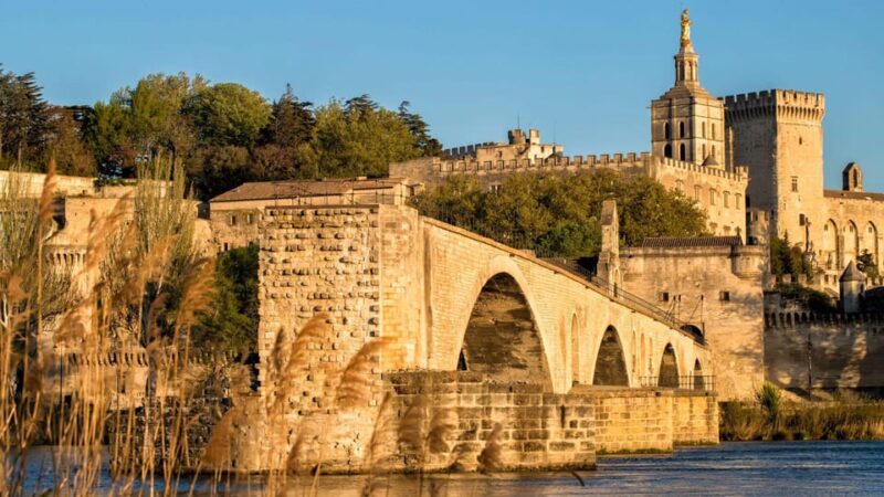 Best of Avignon: Private Walking Tour With a Local - Experience and Highlights