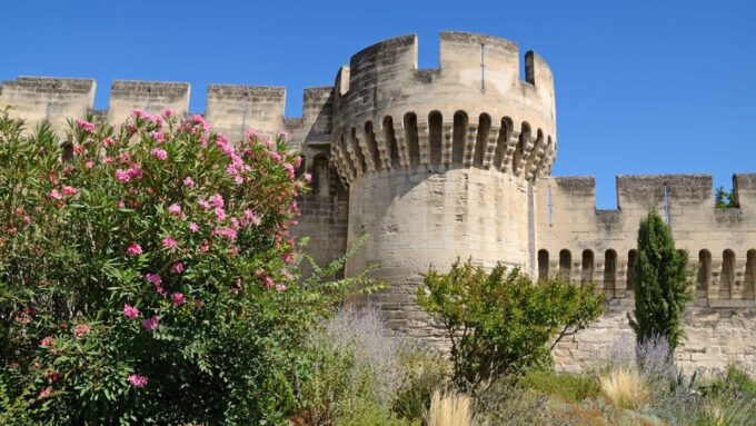 Best of Avignon: Private Walking Tour With a Local - Ask Away
