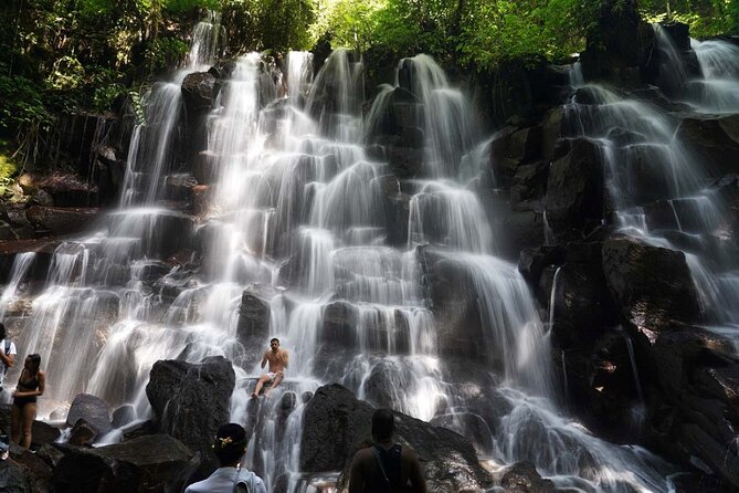 Best of Bali Waterfall, Tegalalang Rice Terrace, Monkey Forest - Tour Inclusions and Services