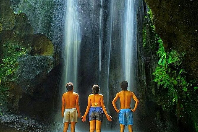 Best of Bali Waterfall, Tegalalang Rice Terrace, Monkey Forest - Booking Details and Pricing