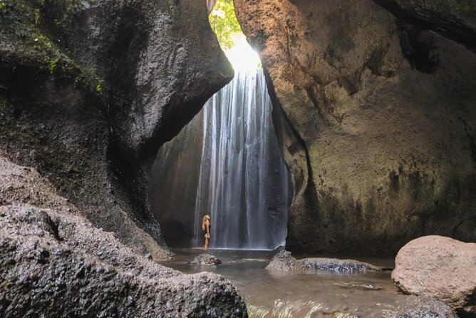 Best of Bali Waterfall, Tegalalang Rice Terrace, Monkey Forest - Important Visitor Information